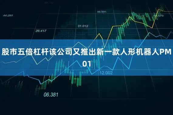 股市五倍杠杆该公司又推出新一款人形机器人PM01