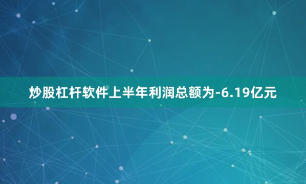 炒股杠杆软件上半年利润总额为-6.19亿元